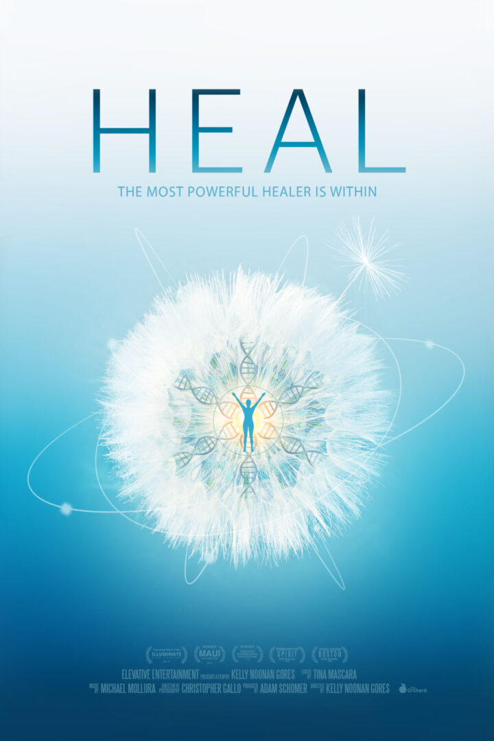 HealDoc Love Justice
