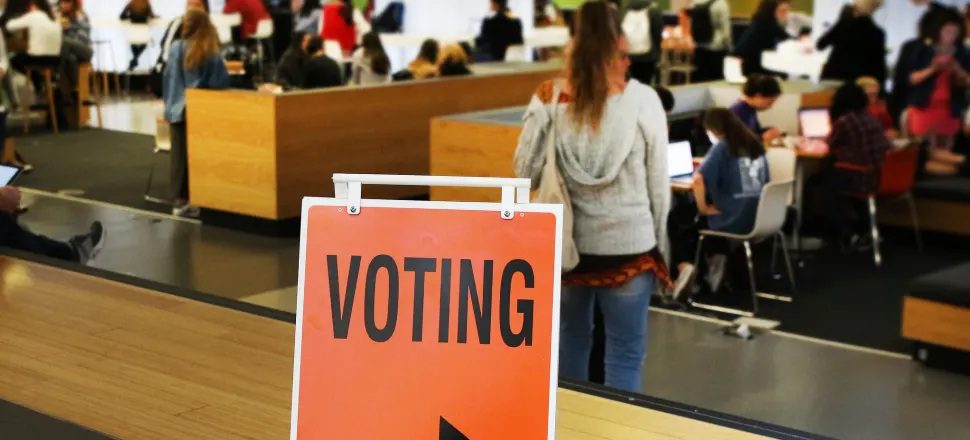aged_voting1206 'Age is not a straightforward indicator of a person’s capacity to exercise an informed vote.' Photo: Lynn Grieveson